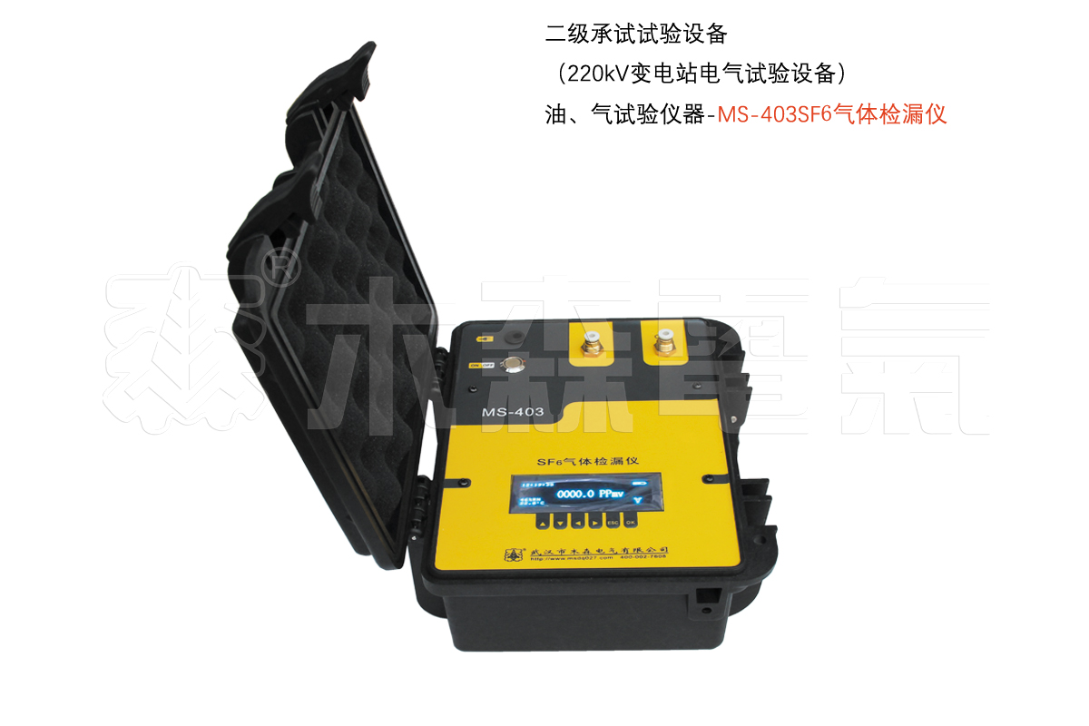 油、气试验仪器-SF₆检漏仪