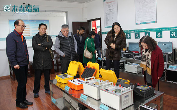 国网电力研究院专家参观武汉市木森电气有限公司