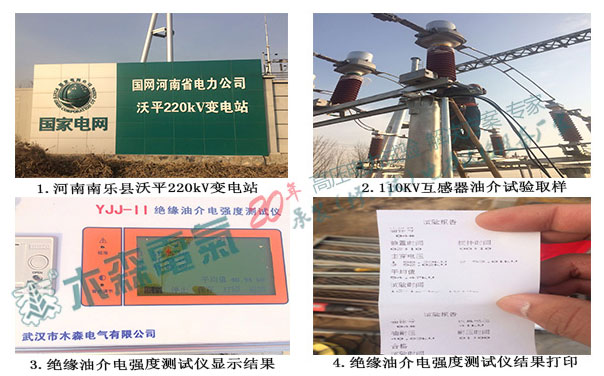 河南220kV变电站绝缘油介质损耗测试仪试验