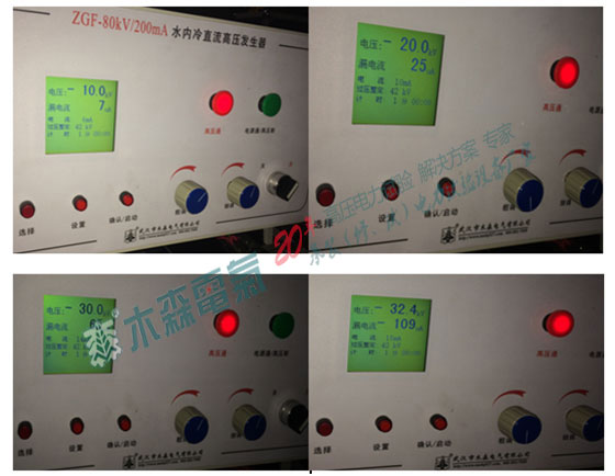 发电机直流泄漏电流试验现场数据
